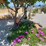 Ktima Natura